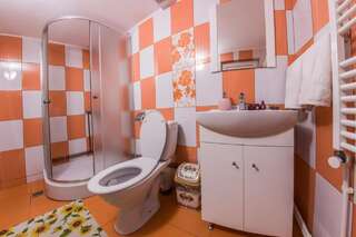 Гостевой дом Pensiunea Valea Măgurii Новач-Стрэйни Трехместный номер с собственной ванной комнатой-1